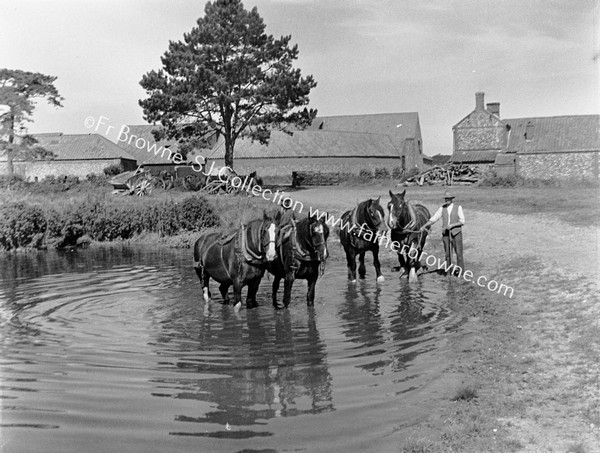 WATERING THE HORSES / TEAM